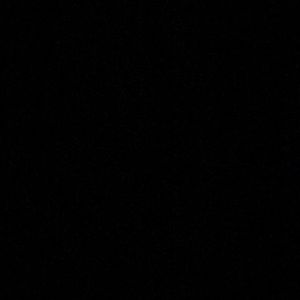 Meet your Posher, Sophie